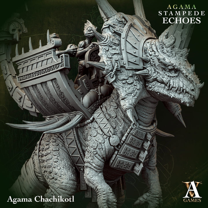 Agama : Stampede Echoes - Bundle