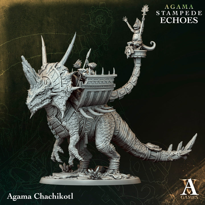 Agama : Stampede Echoes - Bundle