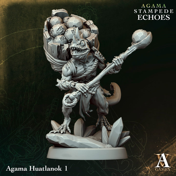 Agama : Stampede Echoes - Bundle