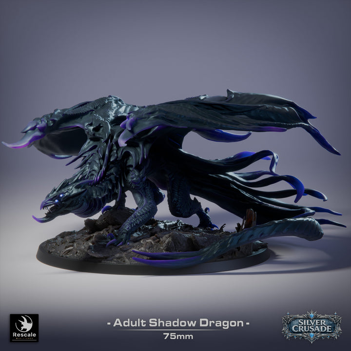The Silver Crusade - Bundle