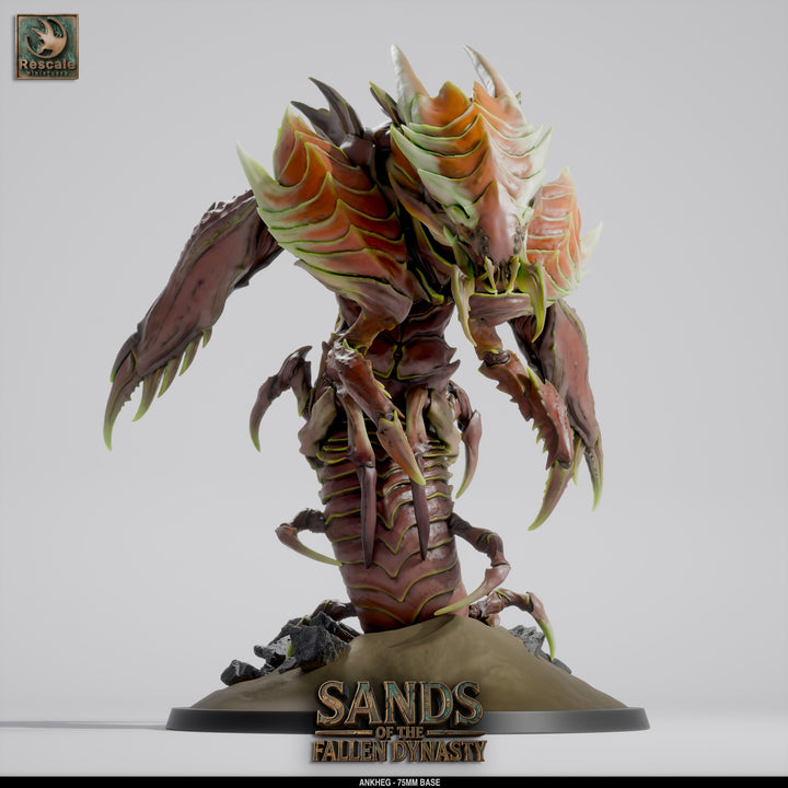 Ankheg_Main01