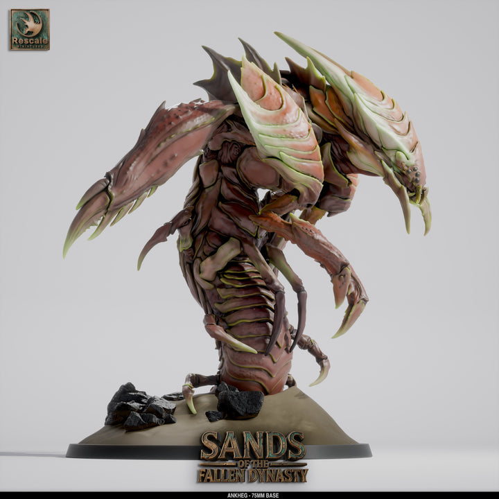 Ankheg_Main02
