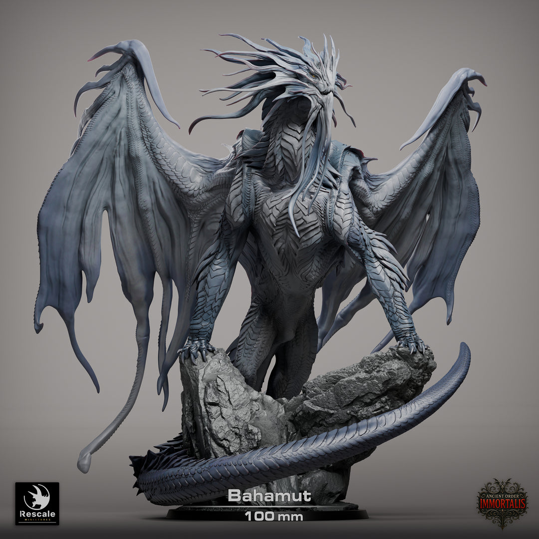 Ancient Order Imoortalis - Bundle