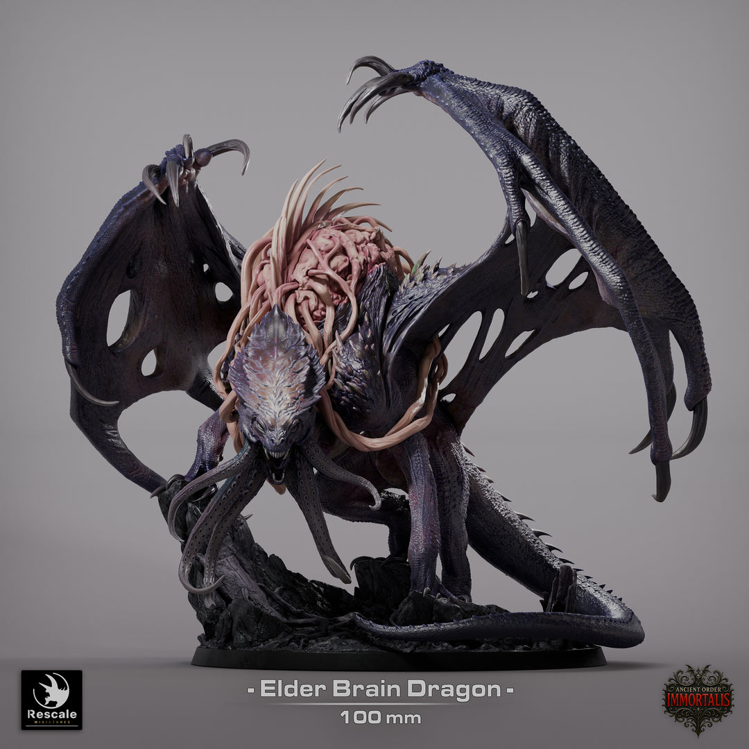 Ancient Order Imoortalis - Bundle