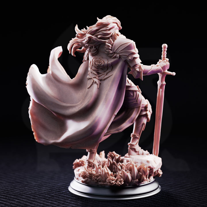 Prince Charming - Noble Knight