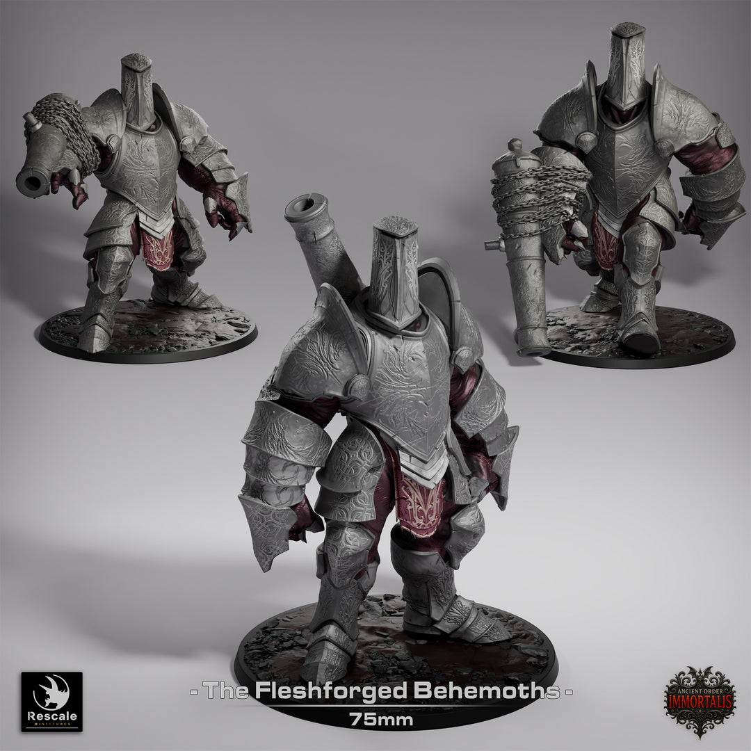 Ancient Order Imoortalis - Bundle