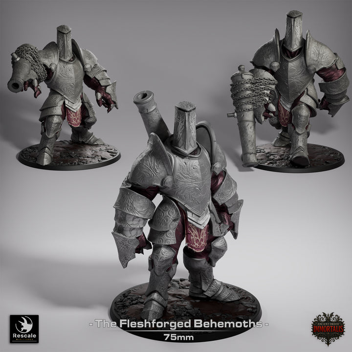 Ancient Order Imoortalis - Bundle