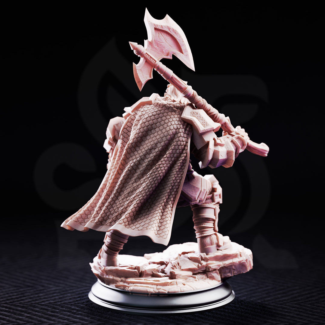 Dwarf Axeman - Took