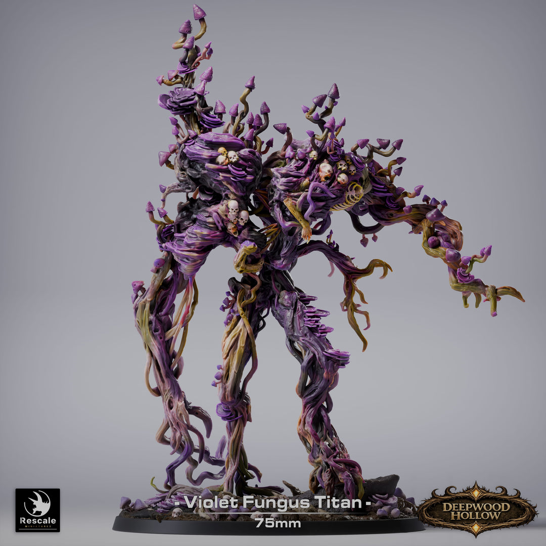 Deepwood Hollow - Bundle