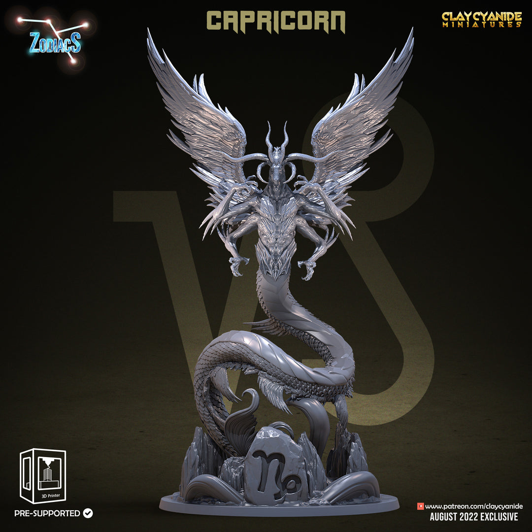 Zodiac Signs - Bundle