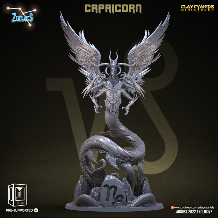 Zodiac Signs - Bundle
