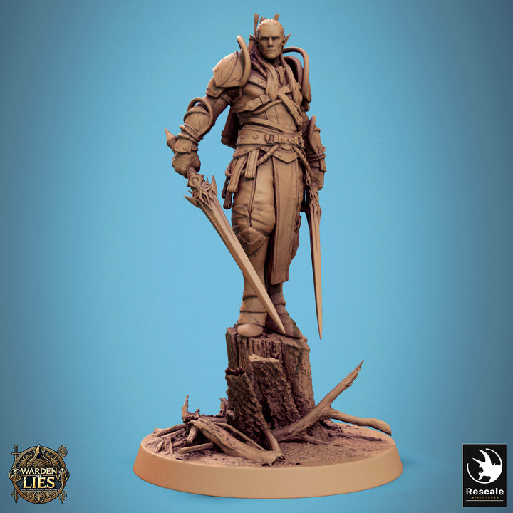Moon Elf Sentinels - Swords