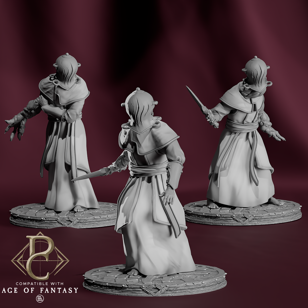 Chainbound Initiates unpainted resin fantasy miniature by Parasite Collectibles, 28-32mm DnD tabletop model.