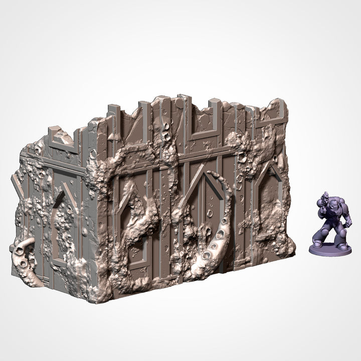 Infected Ruins - Complete Terrain Set