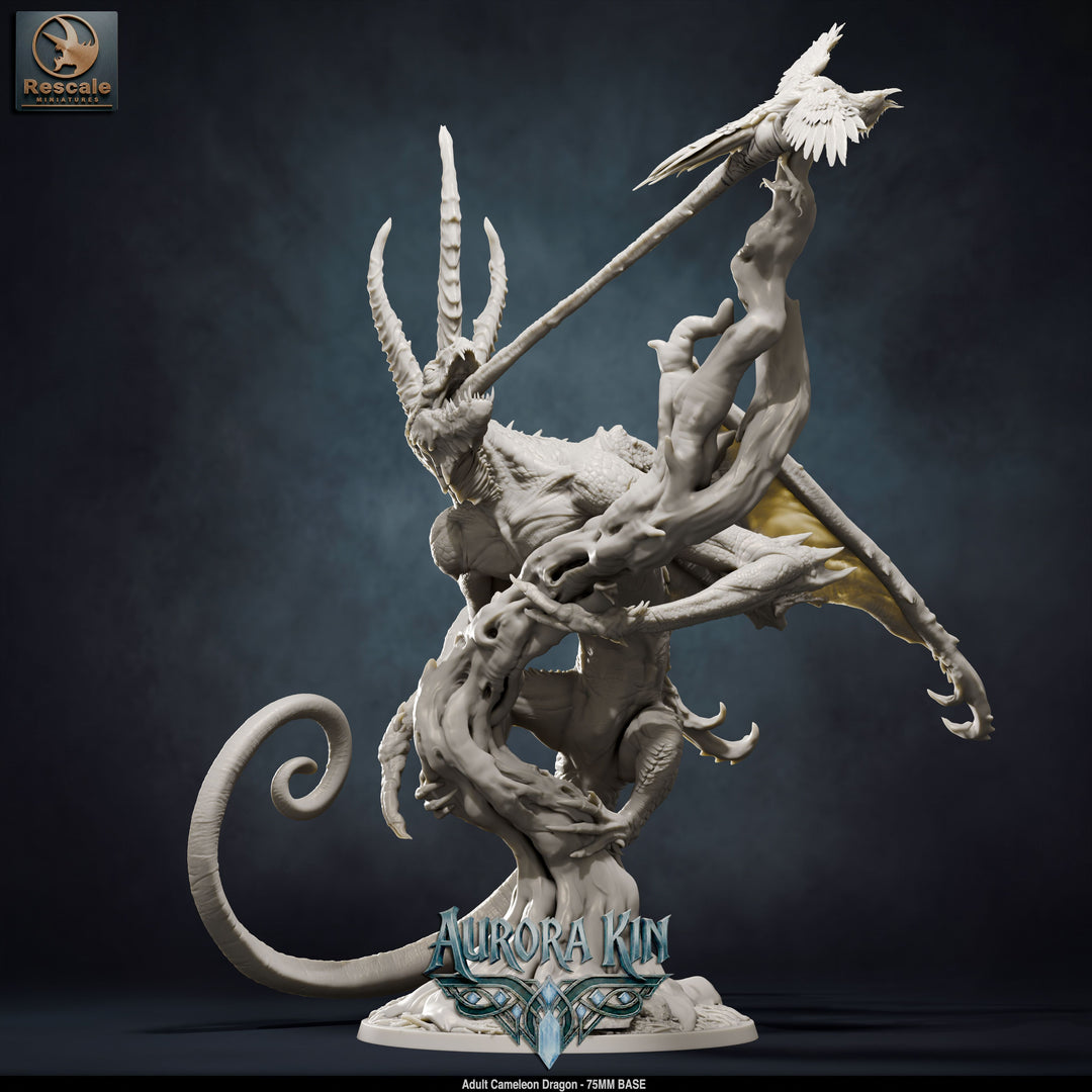 Cameleon Dragon - Adult