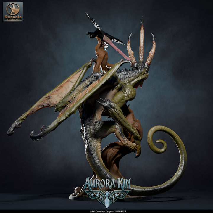Cameleon Dragon - Adult