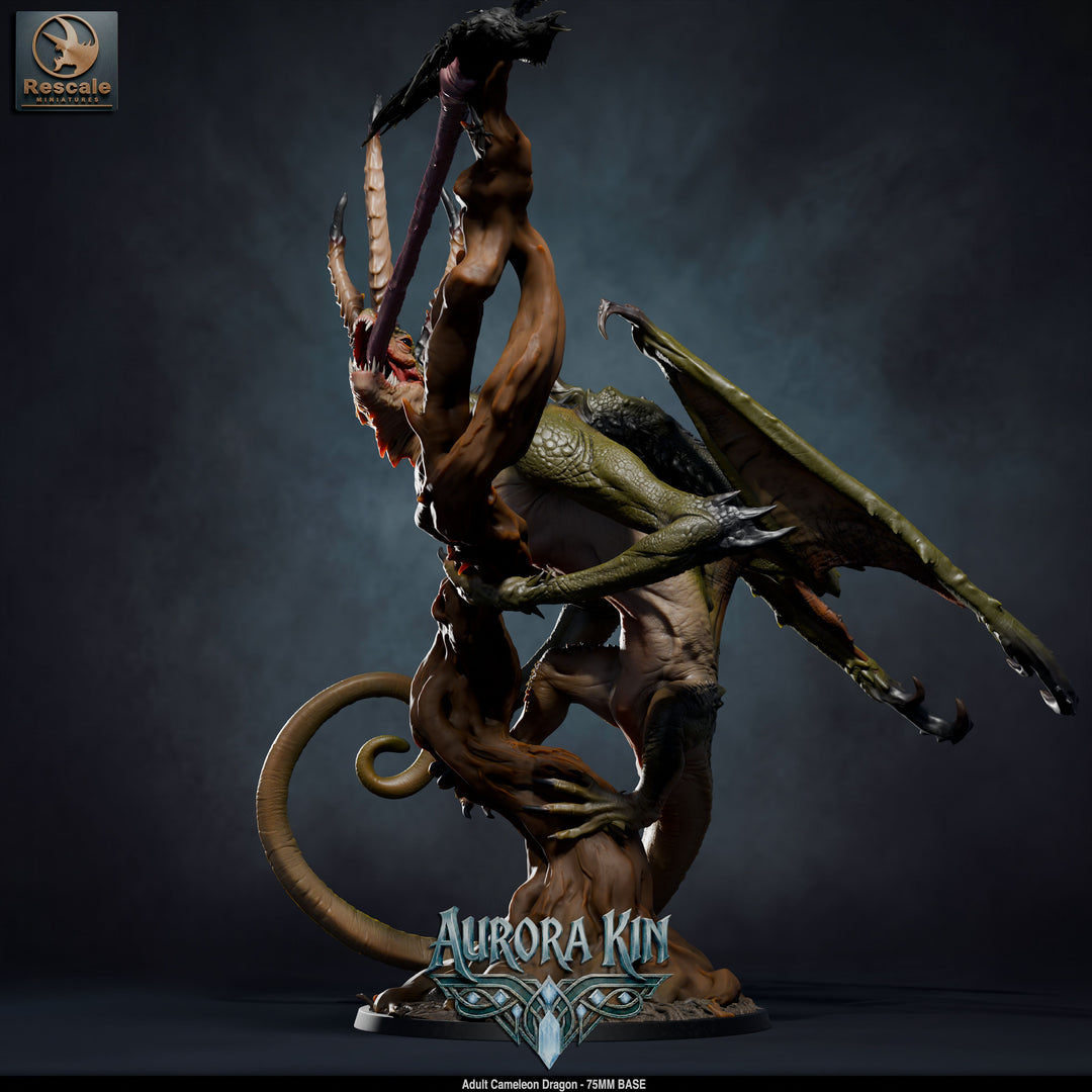 Cameleon Dragon - Adult