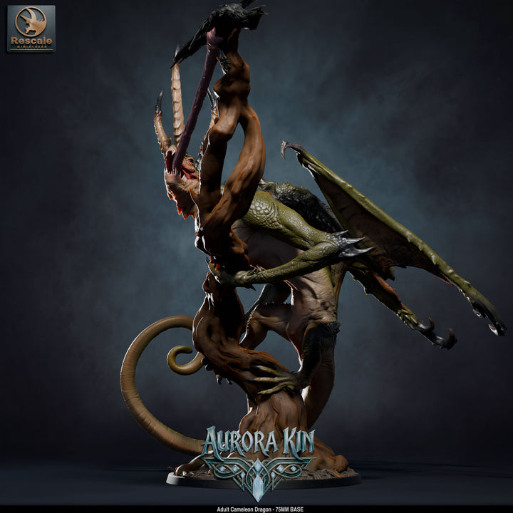 Cameleon Dragon - Adult
