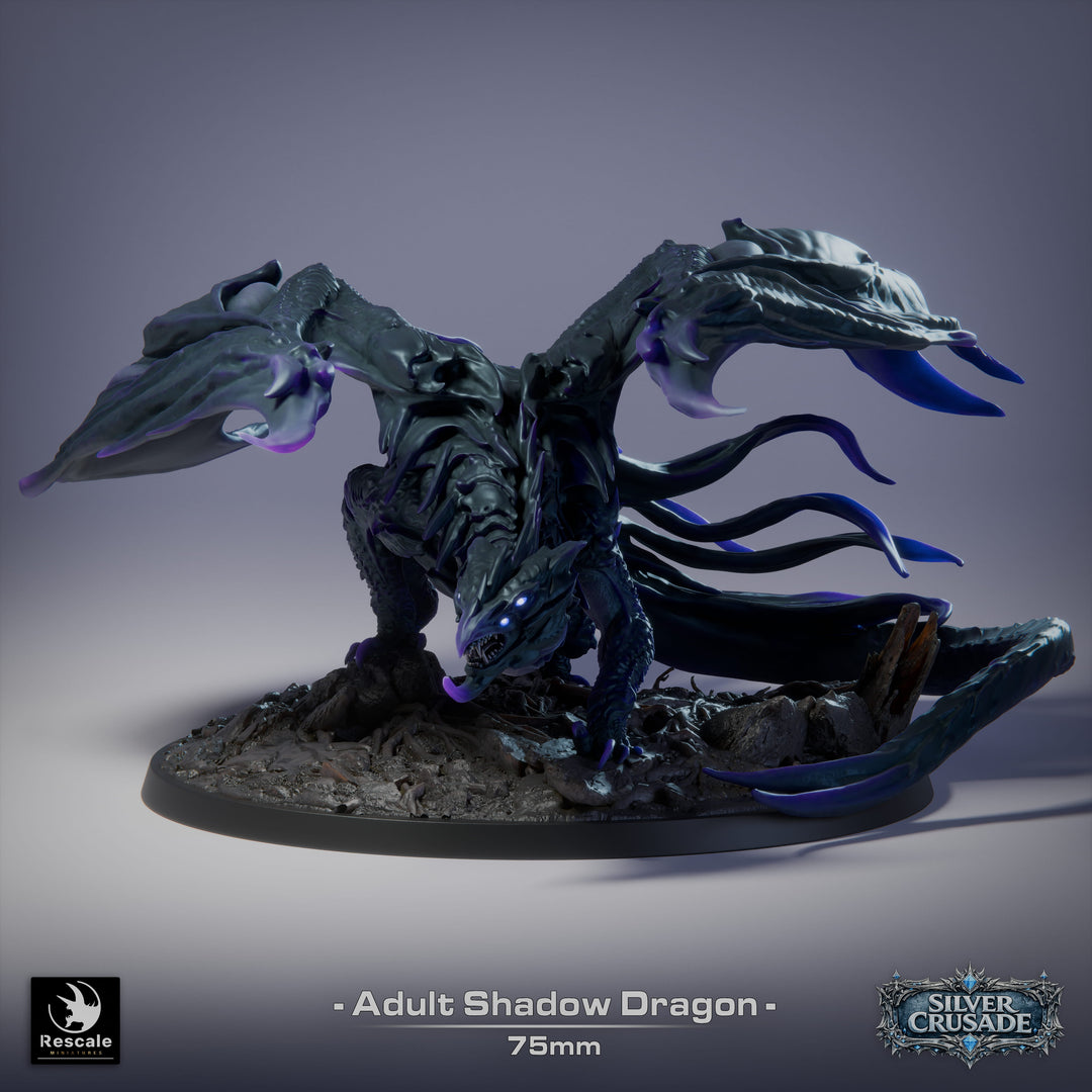 Shadow Dragon