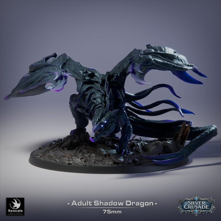 Shadow Dragon