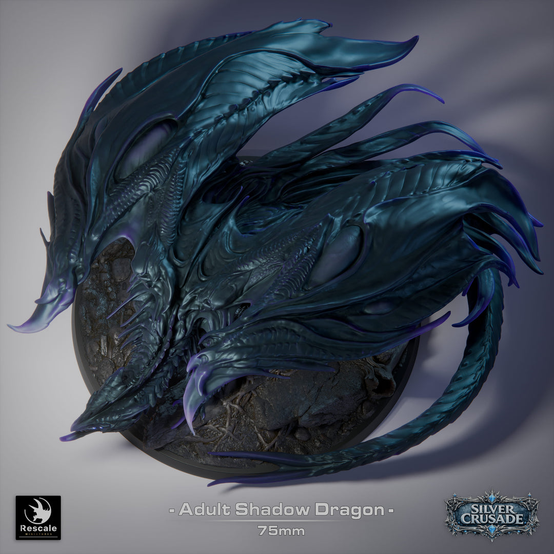 Shadow Dragon