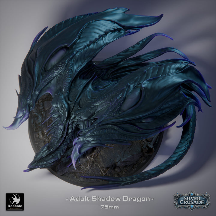 Shadow Dragon
