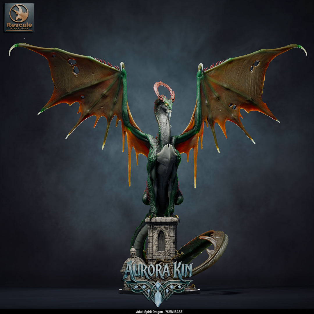 Spirit Dragon - Adult