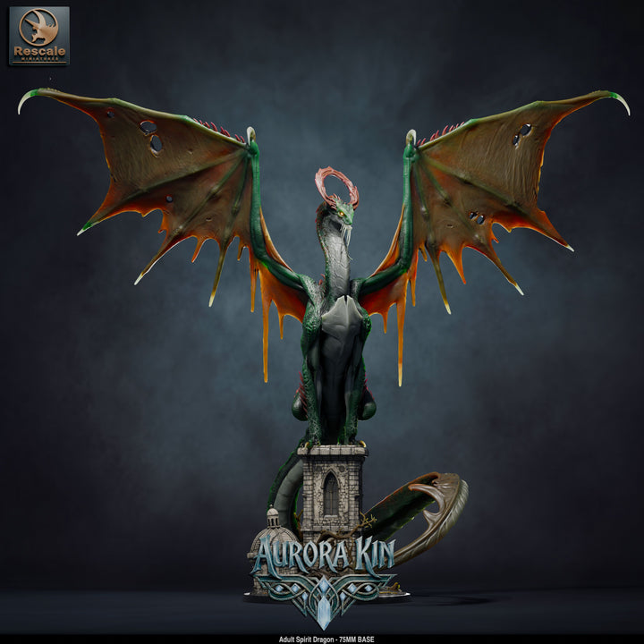 Spirit Dragon - Adult