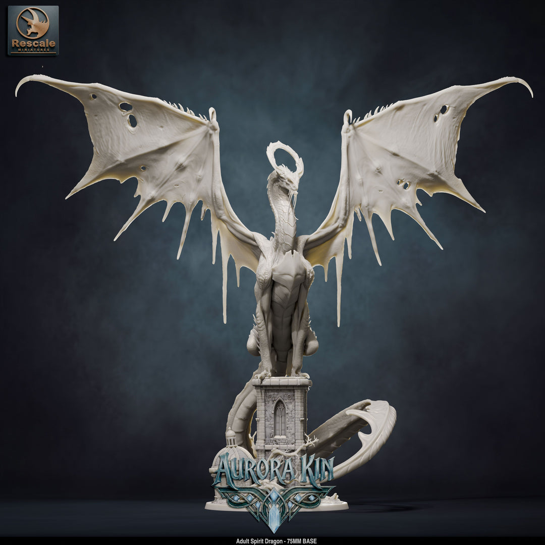Spirit Dragon - Adult
