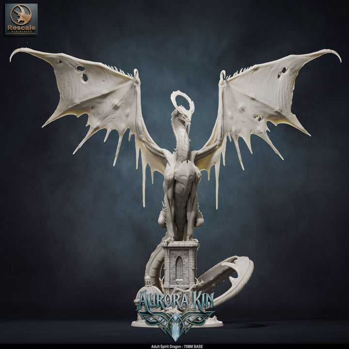 Spirit Dragon - Adult