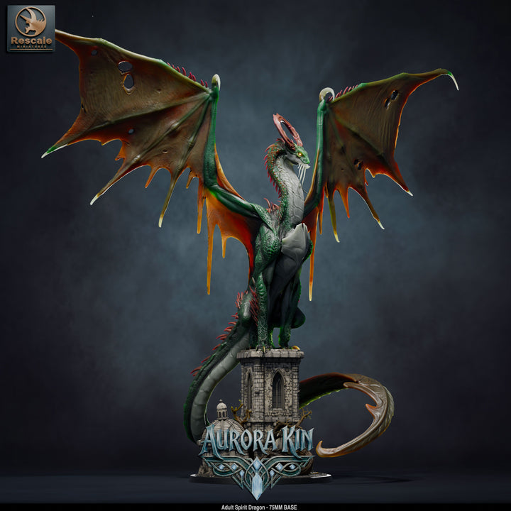 Spirit Dragon - Adult