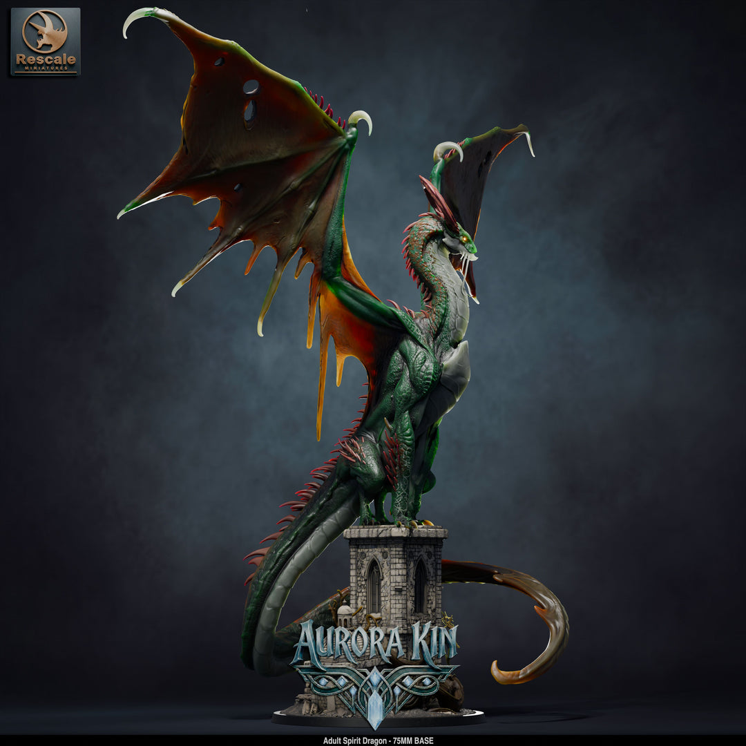 Spirit Dragon - Adult