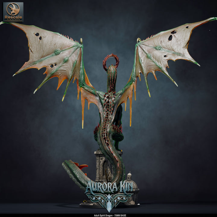 Spirit Dragon - Adult