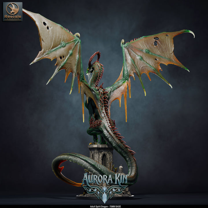 Spirit Dragon - Adult