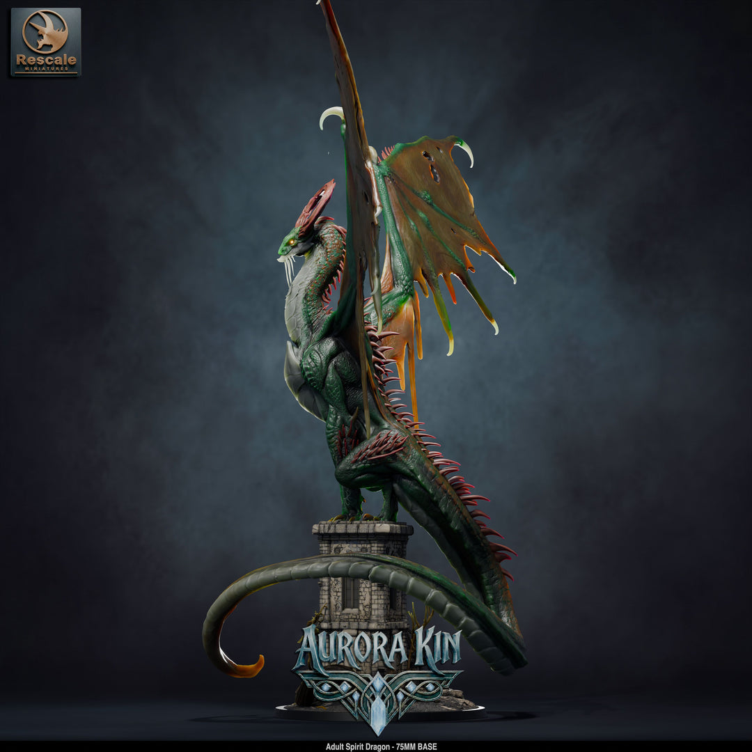 Spirit Dragon - Adult