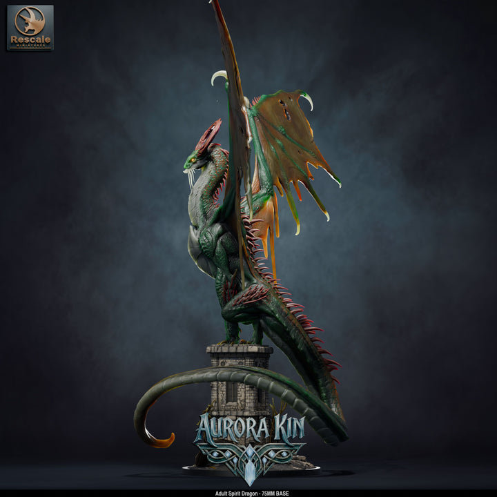 Spirit Dragon - Adult