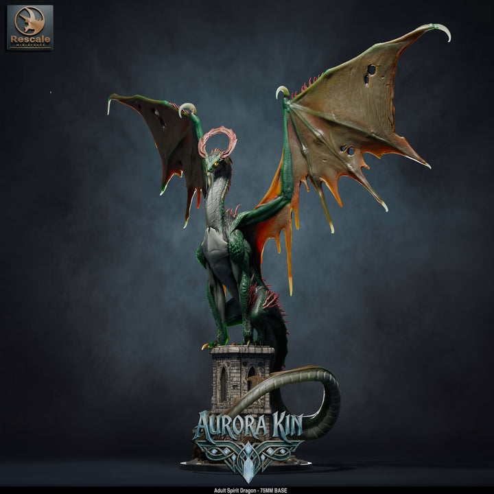 Spirit Dragon - Adult