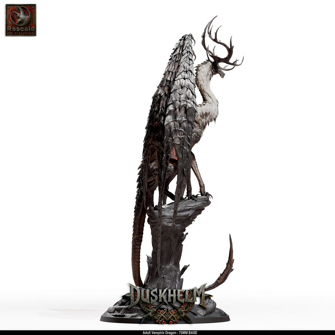 Adult Vampiric Dragon