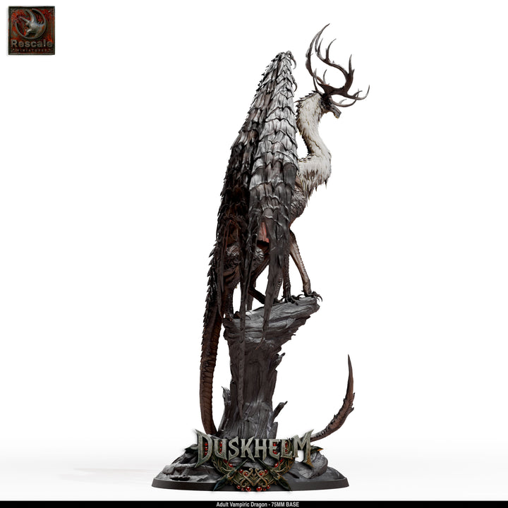 Adult Vampiric Dragon