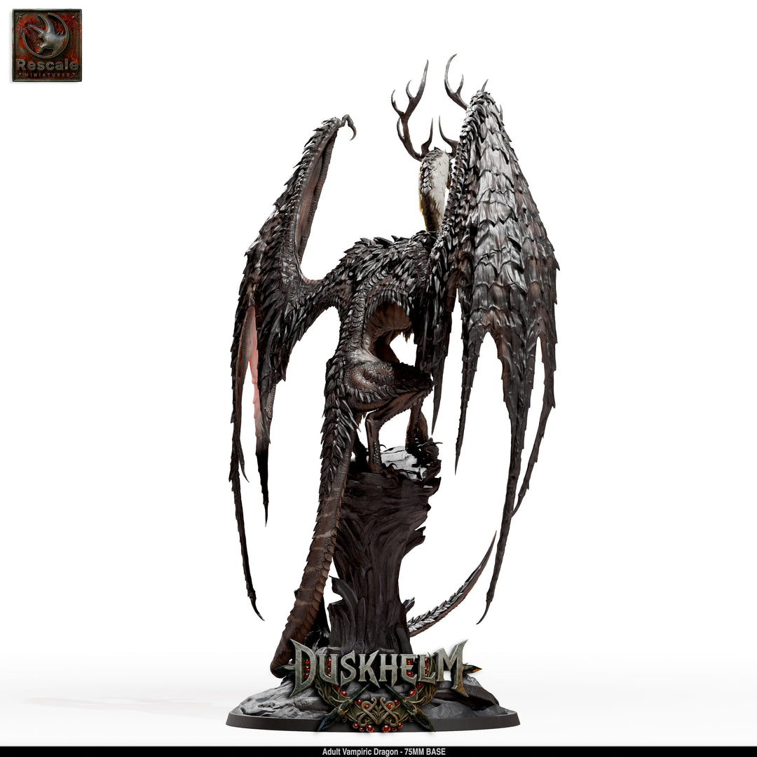 Adult Vampiric Dragon
