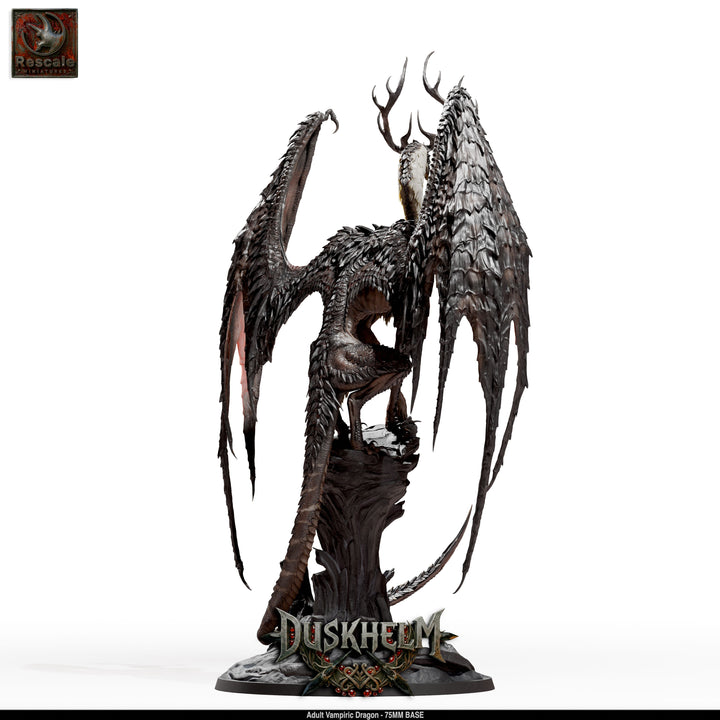 Adult Vampiric Dragon