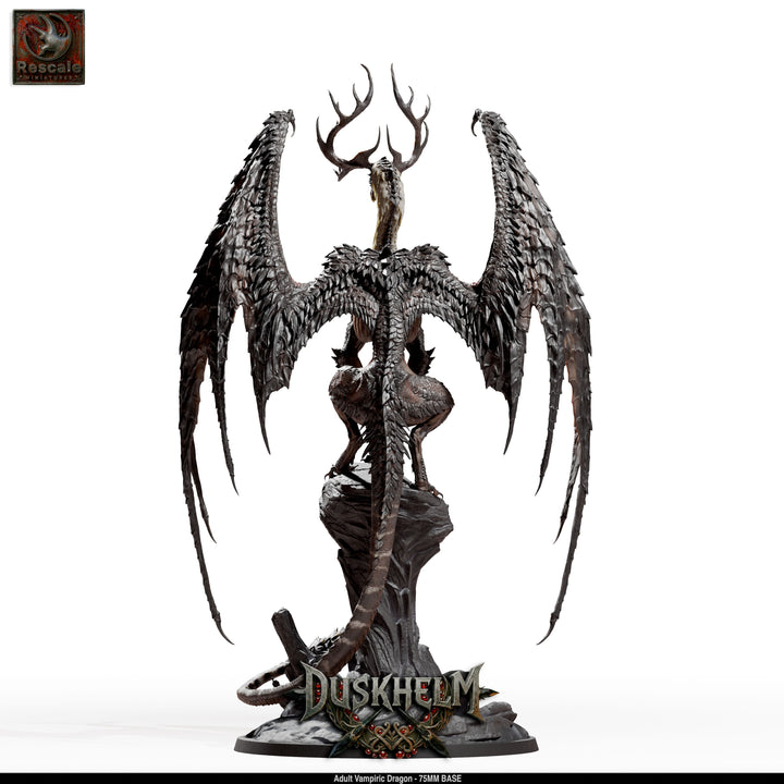 Adult Vampiric Dragon