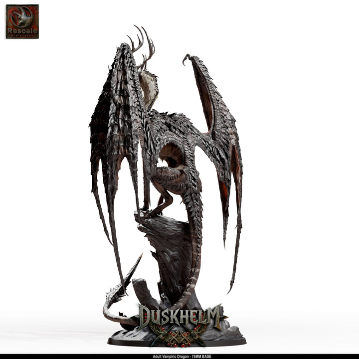 Adult Vampiric Dragon