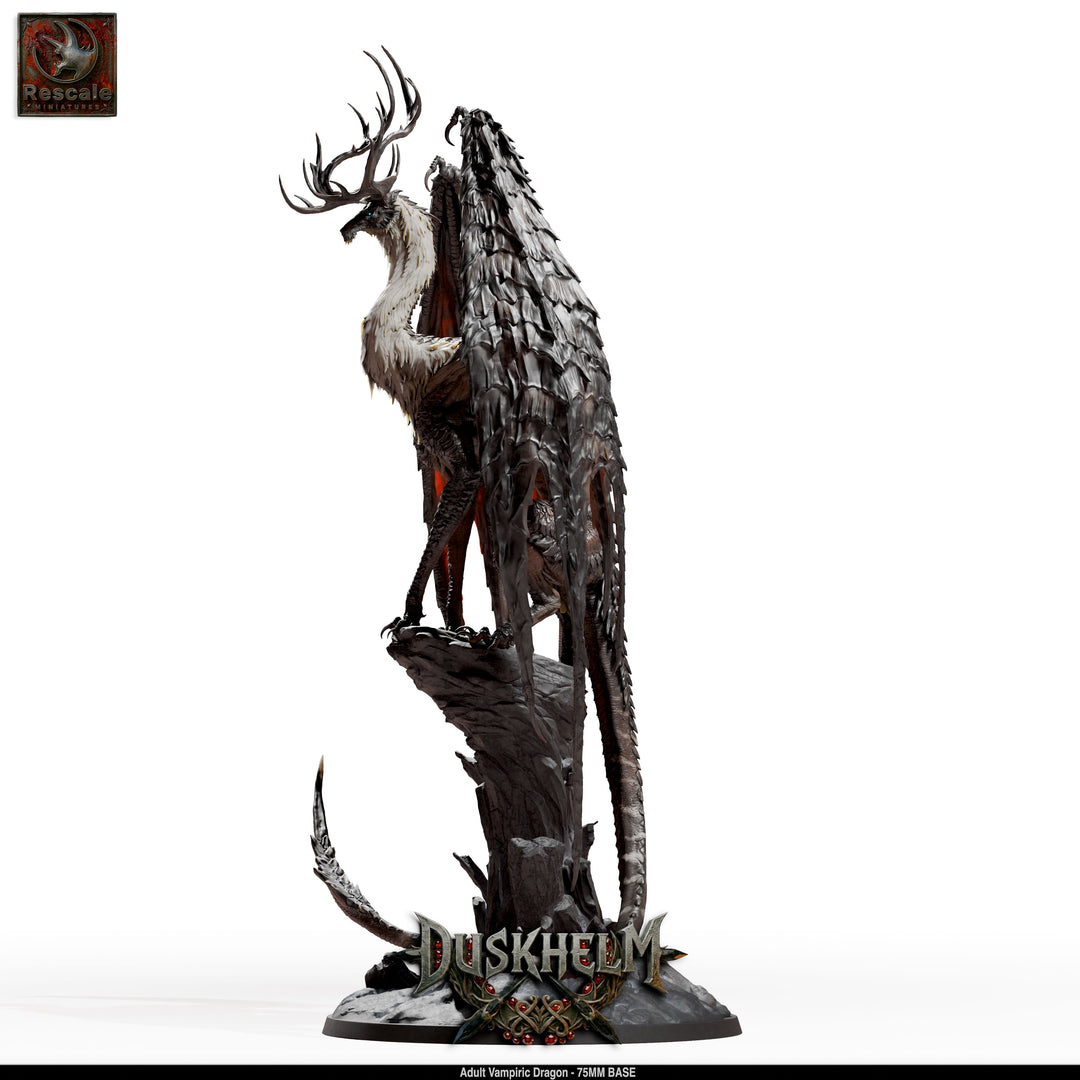 Adult Vampiric Dragon