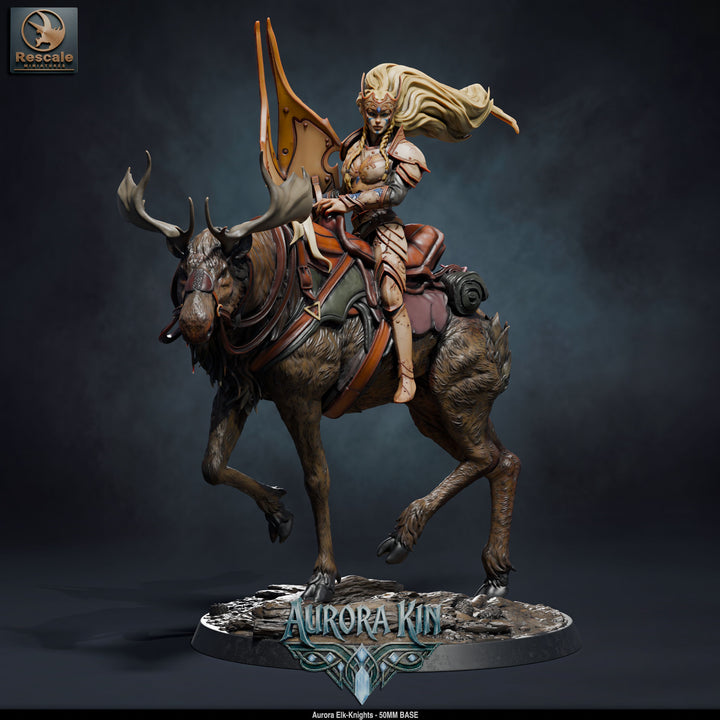 Aurora Elk Knights