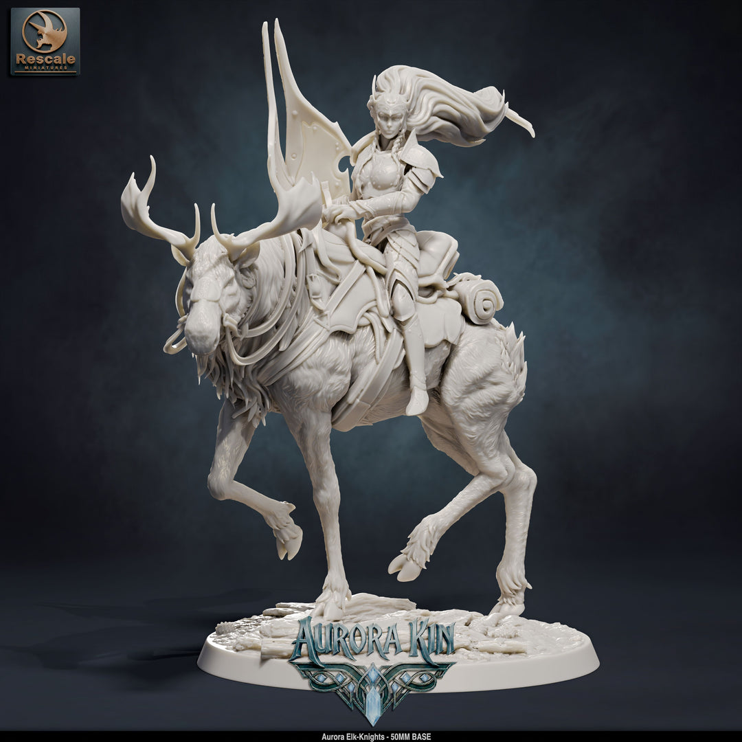 Aurora Elk Knights
