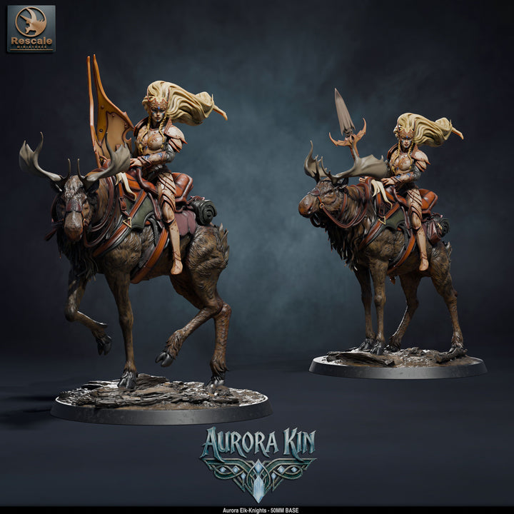 Aurora Elk Knights