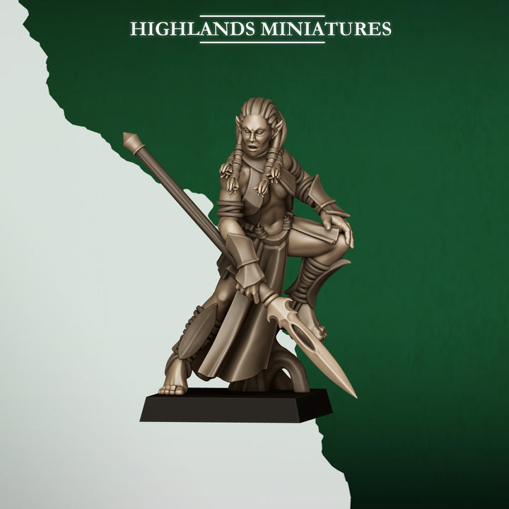 Feral Elf Bladesingers