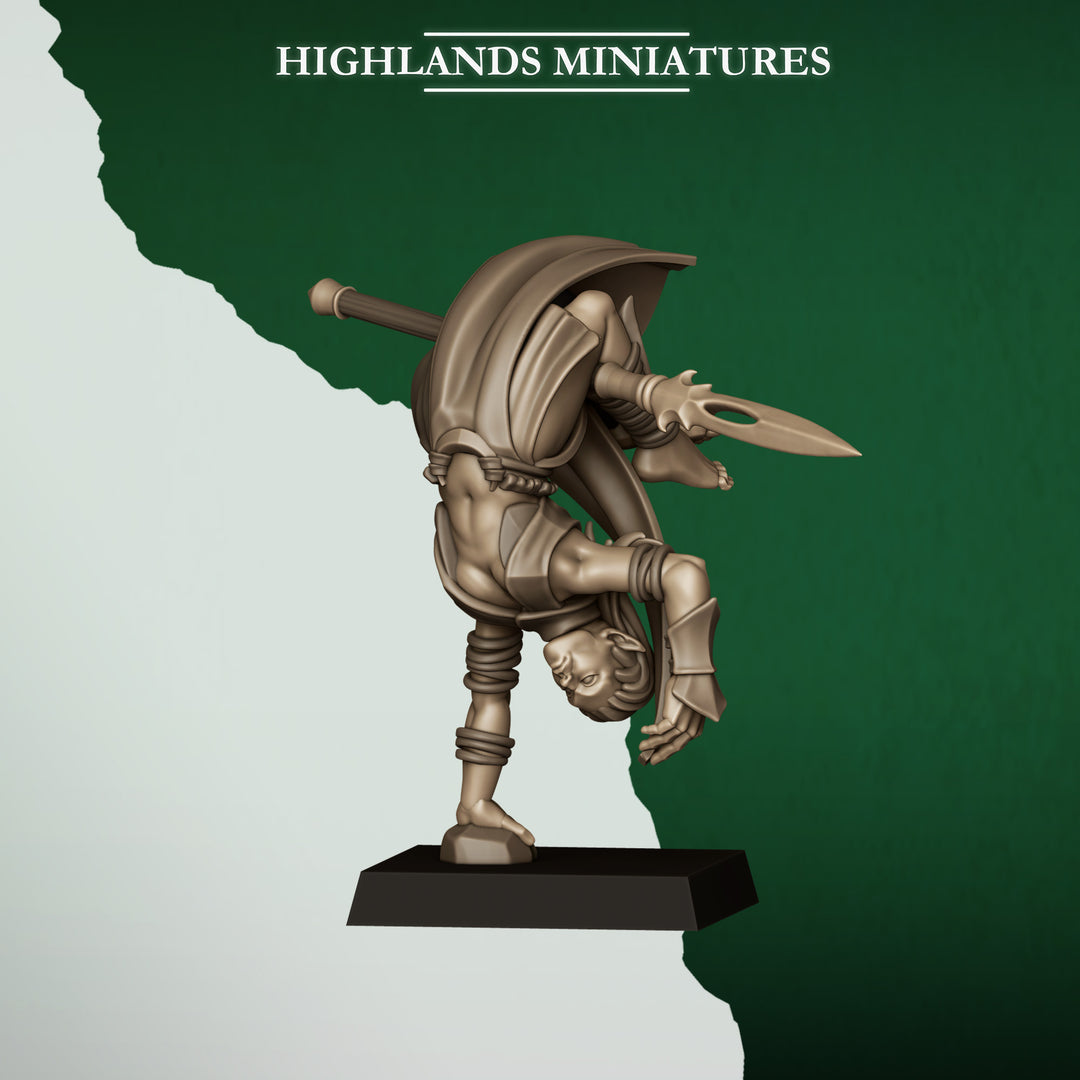 Feral Elf Bladesingers