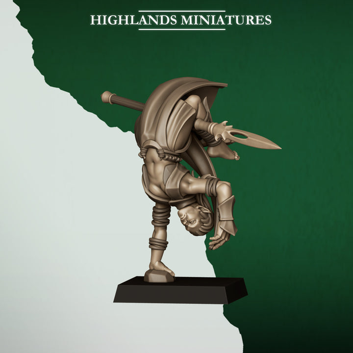 Feral Elf Bladesingers
